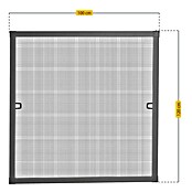 Schellenberg Zaščita proti mrčesu za okna  (Š x V: 100 x 120 cm, Barva okvirja: Antracit) | 1195 - Fliegengitter | AAEF - Fliegenschutz | AAE - Beschläge | AA - Eisenwaren | A - Eisenwaren | BAUHAUS
