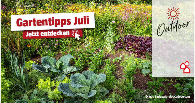 Gartentipps Juli