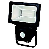Profi Depot Proyector LED con sensor (1 luz, Potencia máx.: 20 W, IP44, Color de luz: Blanco neutro, Ángulo de detección sensor: 100°)