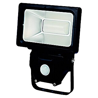 Profi Depot Proyector LED con sensor (20 W, L x An x Al: 193 x 122 x 51 mm, Negro, Blanco neutro)
