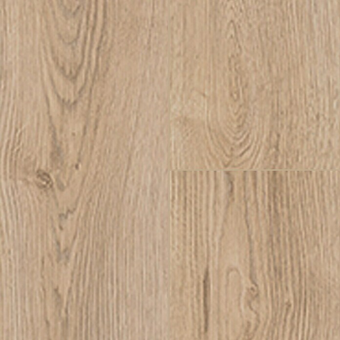 Krono Original Laminat Super Natural Natural Sterling Oak (1.288 x 195 x 8 mm, Landhausdiele, Natural Sterling Oak) | BAUHAUS