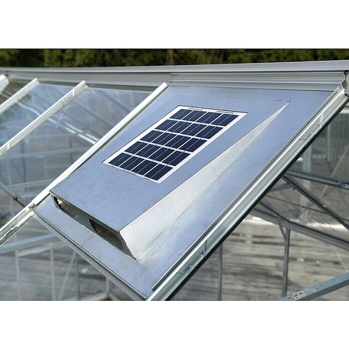 Vitavia Gewächshaus (3,83 x 2,57 x 2,3 m, Farbe: Aluminium, Polycarbonat, 6 mm)