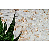 Mozaïektegel (30 x 30 cm, Beige, Mat)
