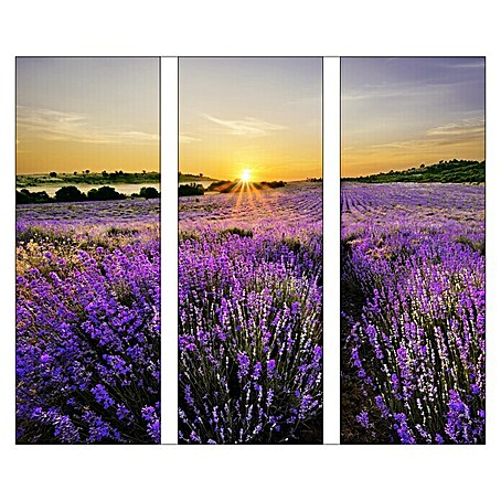 Glasbild (Beautiful Lavender, B x H: 90 x 80 cm, 3 -tlg.)
