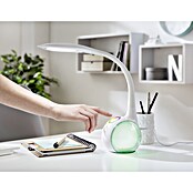 Globo Lámpara de sobremesa LED Tarron (1 x 5 W, Blanco, Blanco diurno, Altura: 53 cm)