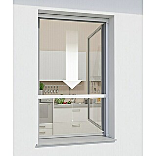 Windhager Insektenschutz-Fensterrollo Plus (100 x 160 cm, Weiß)