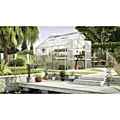 Vitavia Gewächshaus (3,21 x 2,57 x 2,46 m, Farbe: Aluminium, Polycarbonat, 4 mm)