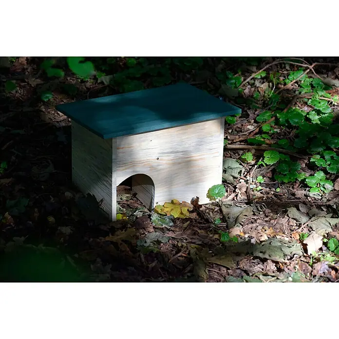 Dobar Igelhaus - 34,5 x 24 x 27 cm, Ausstattung: Abnehmbares Dach - Ein hölzernes Igelhaus mit grünem Dach steht auf einer Laubschicht, umgeben von Pflanzen. Es bietet einen sicheren Unterschlupf für Wildtiere.