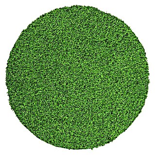 Kayoom Hochflorteppich Grass (Grün, 160 x 160 cm, 160 cm, 100 % Polyethylen)