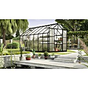 Vitavia Gewächshaus Uranus 11500 (4,45 x 2,57 x 2,46 m, Farbe: Schwarz, Polycarbonat, 6 mm)