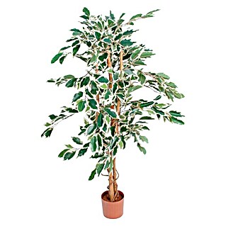Planta artificial Ficus Hawaii (Altura: 180 cm, Verde, Plástico)