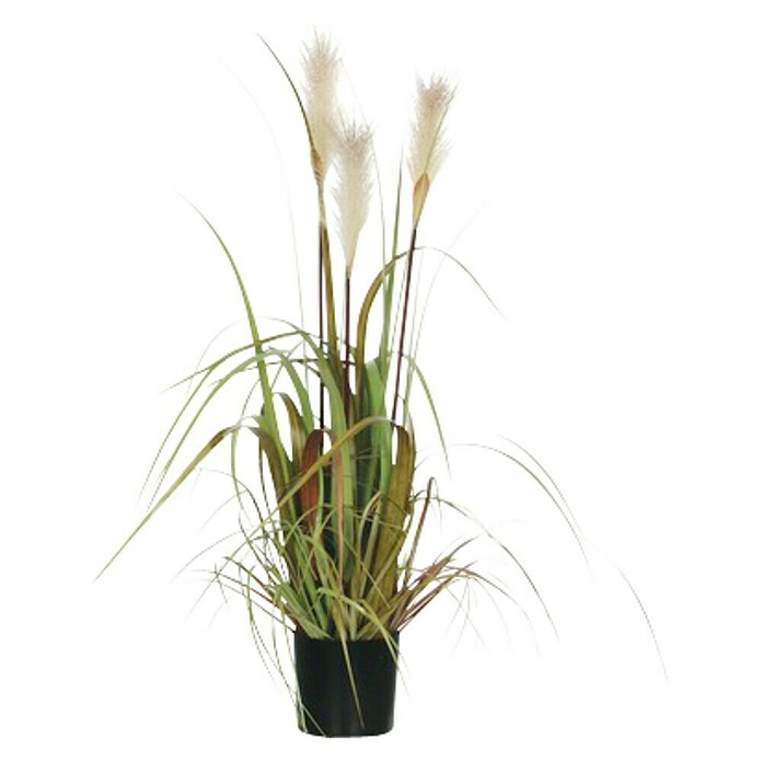Umjetna biljka Pampas trava  (Visina: 81 cm, Plastika) | BAUHAUS