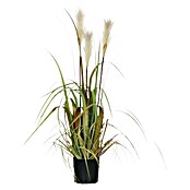 Umjetna biljka Pampas trava  (Visina: 81 cm, Plastika) | BAUHAUS