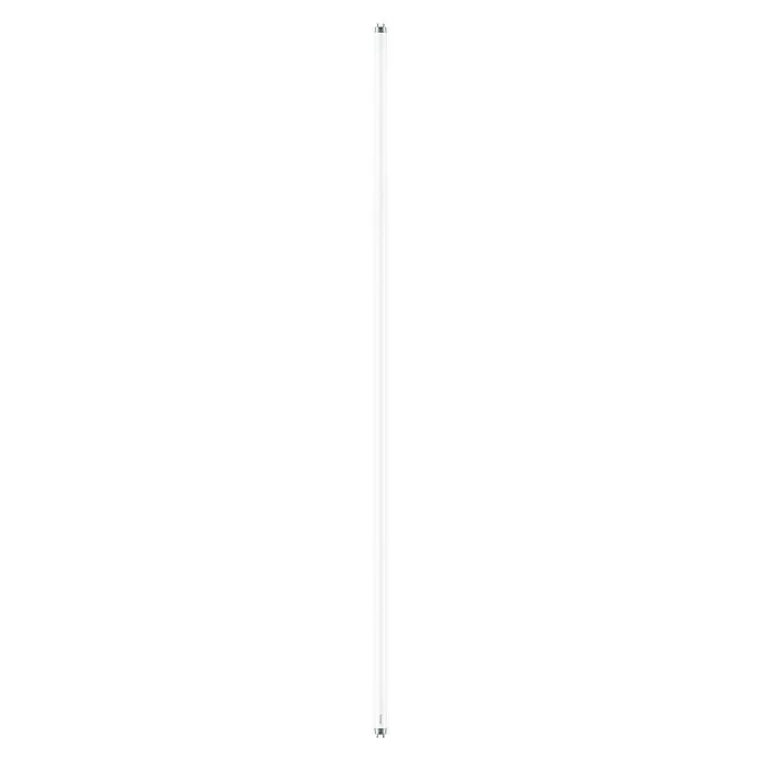 Philips LED Leuchtstoffröhre T8 - Länge: 151,42 cm, Kaltweiß, 20 W, 2.000 lm - Die schlanke, weiße LED-Lampe bietet eine moderne Beleuchtungslösung für jeden Raum und sorgt für helles, effizientes Licht.