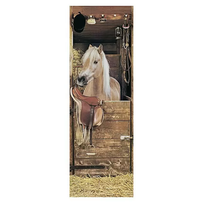 Papermoon Infrarot-Glasbildheizkörper Riding Horse40 x 120 cm, 500 W Front View