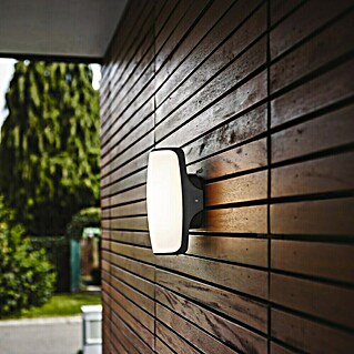 Lutec Aplique exterior LED Seco (13 W, 10,5 x 13,2 x 22,2 cm, Antracita/Blanco, IP54)