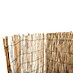 Ocultación de bambú Chino 