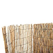Ocultación de bambú Chino (L x Al: 1 x 5 m)