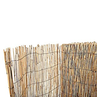 Ocultación de bambú (L x Al: 2 x 5 m)