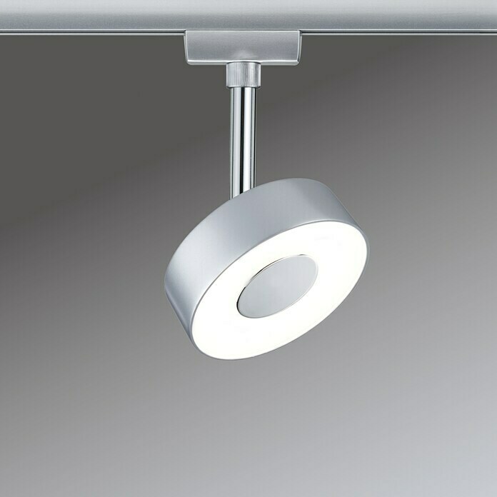 Paulmann URail Foco LED para riel (5 W, Blanco cálido, L x An: 9,8 x 5 cm)