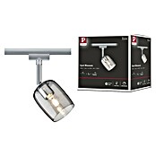 Paulmann URail Spot Blossom (1-flammig, Transparent/Schwarz, 10 W, Fassung: G9)
