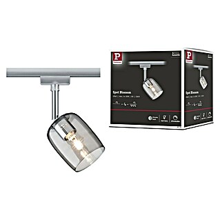 Paulmann URail LED-Spot Blossom (10 W, Chrom/Rauchglas, G9, 1 Stk.)