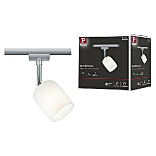 Paulmann URail LED-Spot Blossom (10 W, Chrom matt, G9, 1 Stk.)