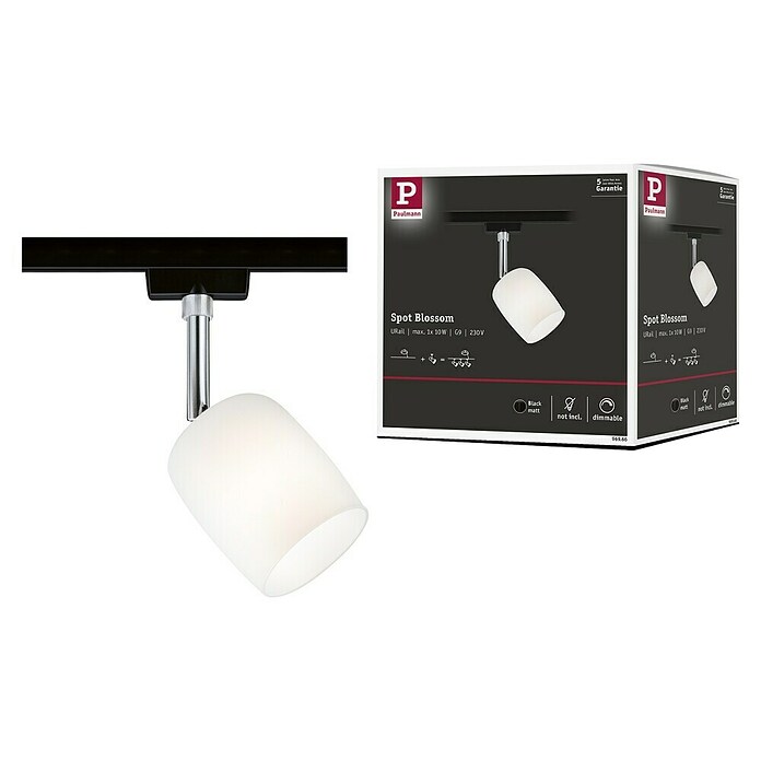 Paulmann URail LED-Spot Blossom (10 W, Schwarz/Satin, G9, 1 Stk.) | BAUHAUS