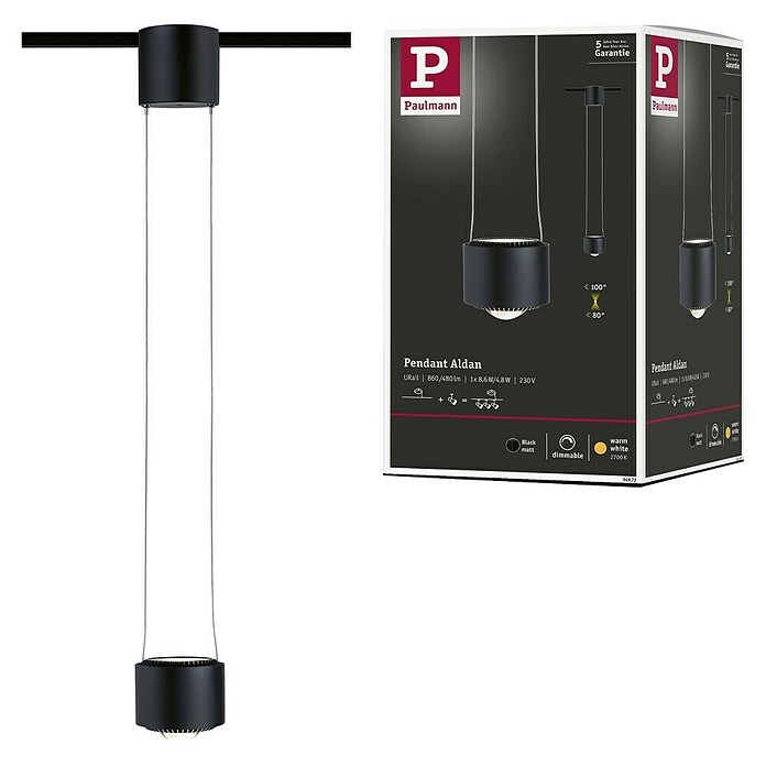 Paulmann URail LED-Pendelleuchte Aldan (Schwarz matt, Dimmbar) | BAUHAUS