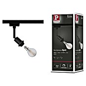 Paulmann URail LED-Spot DecoSystems (Lampenfassung: E14, Farbe: Schwarz) | BAUHAUS