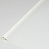 D-c-fix Static Premium Glasfolie (150 x 67,5 cm, Doorschijnend, Statisch hechtend) | BAUHAUS