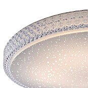 Paul Neuhaus LED stropna svetilka Frida  (36 W, Do x Š x V: 600 x 600 x 110 mm, Toplo bela) | 3016 - Deckenleuchte | CACB - Deckenleuchten | CAC - Indoorleuchten | CA - Beleuchtung | C - Elektro | BAUHAUS