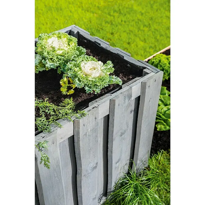 Hochbeet Nevada - 59 x 119 x 72 cm, Holz, Grau - Nahaufnahme eines hölzernen Hochbeets mit Salatpflanzen und Karotten, ideal für den Garten oder Balkon.
