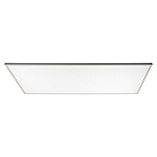 Tween Light Panel LED (60 W, L x An x Al: 119,5 x 29,5 x 6 cm, Blanco Opal, Blanco neutro)