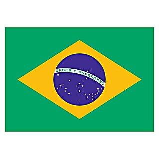 Bandera Brasil (70 x 110 cm)