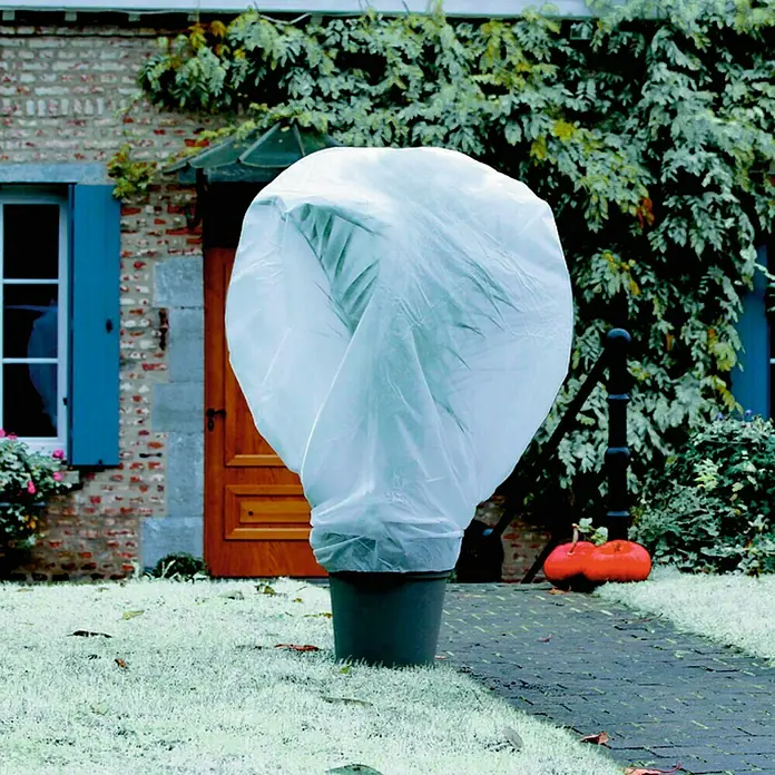 Nortene Protector invernal de plantas Velo Wintertex - Ø x Al: 2 x 5 m - Primer plano de una planta en maceta, protegida por una cubierta blanca, con un edificio de ladrillo al fondo.
