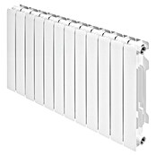Ferroli Radiador de agua Proteo CHP (An x Al: 96 x 58,15 cm, 12 elementos, 1.272,72 W)