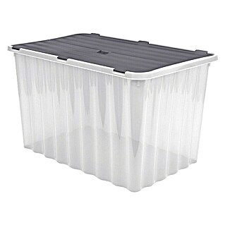 Caja de almacenaje Wave (L x An x Al: 36 x 60 x 36 cm, Plástico, Transparente)