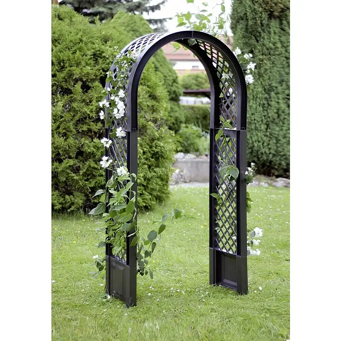 KHW Rosenbogen - Anthrazit, 100 x 43 x 207 cm - Ein schwarzer Gartenbogen, bewachsen mit weißen Blüten, steht auf einem Rasen und bildet einen attraktiven Blickfang.