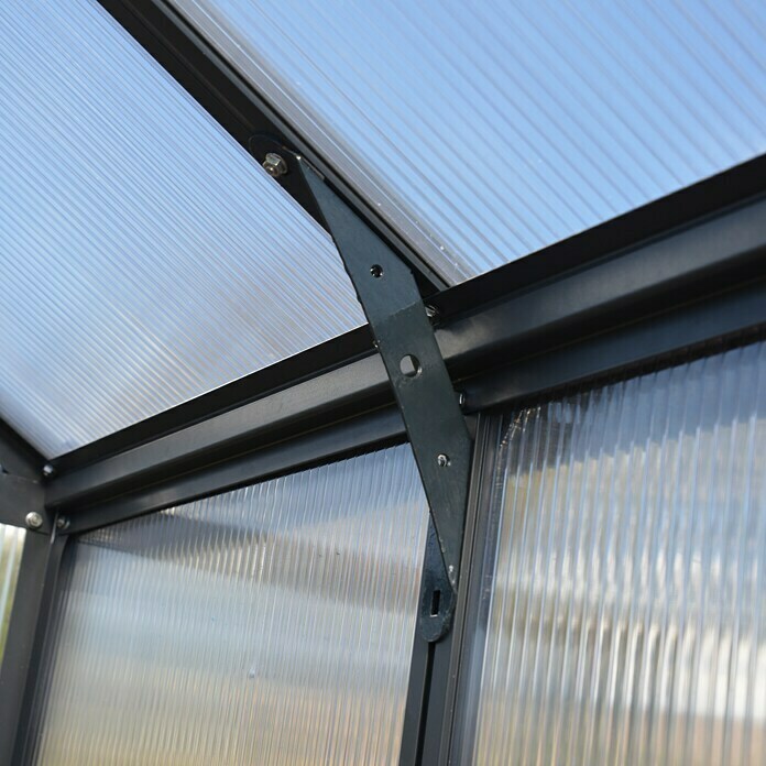 Palram Gewächshaus Glory 8x16 (4,83 x 2,44 x 2,68 m, Glasstärke: 10 mm, Polycarbonat)