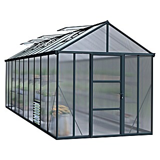 Palram – Canopia Gewächshaus Glory 8x20 (Außenmaß inkl. Dachüberstand (B x T): 253 x 604 cm, 10 mm, Anthrazit)