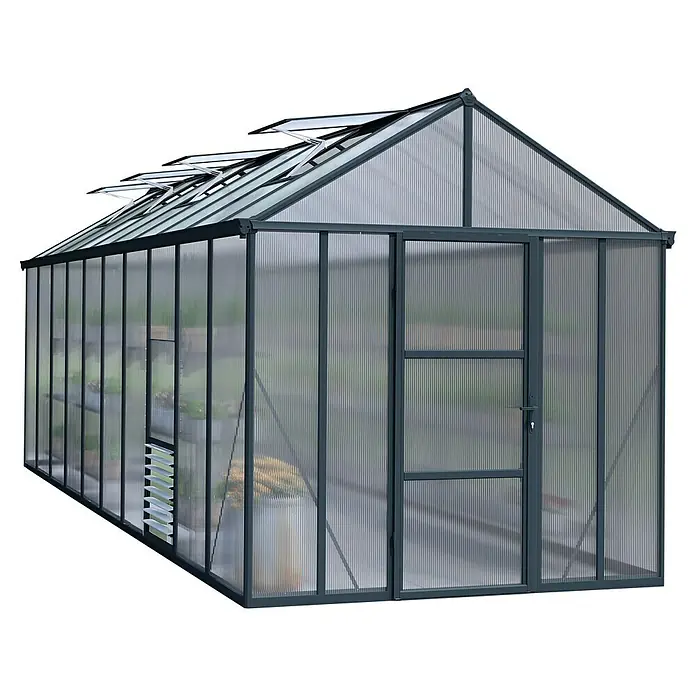 Palram – Canopia Gewächshaus Glory 8x20 - Außenmaß inkl. Dachüberstand (B x T): 253 x 604 cm, 10 mm, Anthrazit - Abbildung eines Gewächshauses mit Dachfenstern zur Belüftung und einer Tür zum Betreten.