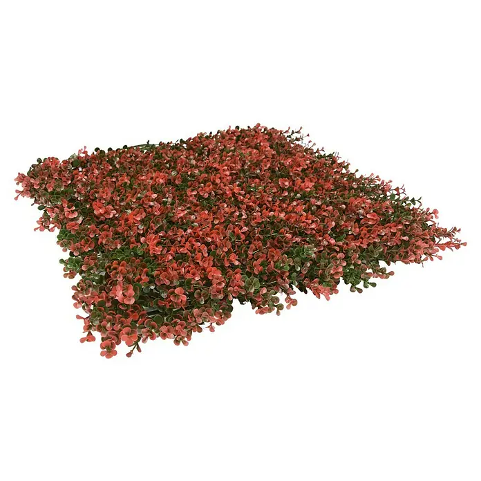 Faura Jardín vertical Natus - Plástico, L x An: 50 x 50 cm - Esta imagen muestra una alfombra decorativa de plantas artificiales, con pequeñas hojas rojizas y acentos verdes. Perfecto para un toque vibrante.