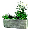 Macetero para plantas Valencia (Dimensiones externas (L x An x Al): 95 x 29 x 37 cm, Material compuesto, Ceniza) | BAUHAUS