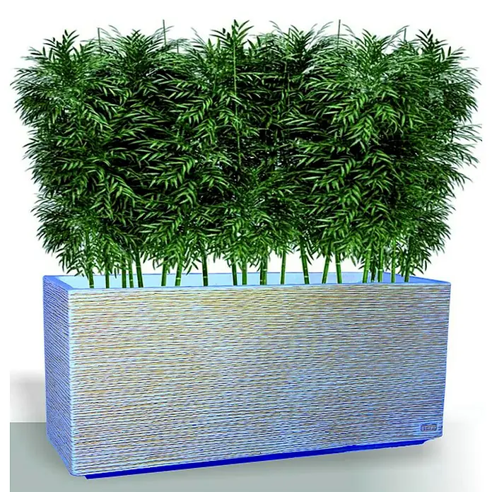 Macetero para plantas Alicante - Dimensiones externas (L x An x Al): 79 x 29 x 37 cm, Material compuesto, Ceniza - Esta imagen muestra una jardinera rectangular llena de bambú exuberante. La jardinera presenta una superficie texturizada y detalles azules.