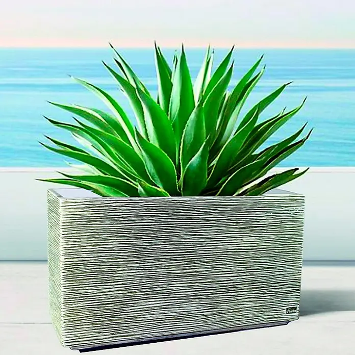 Macetero para plantas Castellón - Dimensiones externas (L x An x Al): 58 x 25 x 37 cm, Material compuesto, Ceniza - Planta de interior con macetero decorativo, ideal para cualquier habitación. La planta verde en la maceta estructurada aporta color.