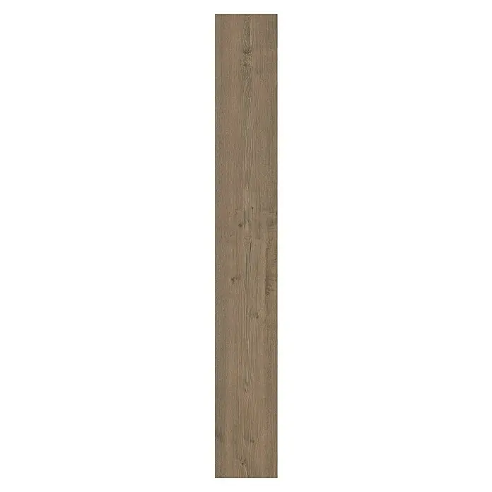 Krono Original Laminat Altitude - Hare Tegernsee Oak, Landhausdiele, 2.003 x 245 x 12 mm - Nahaufnahme einer einzelnen Bodenfliese in Holzoptik. Die Fliese hat eine natürliche, hellbraune Farbe und eine feine Maserung.