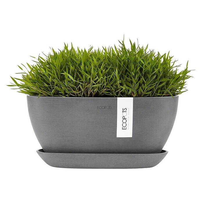 Ecopots Sofia Pflanzschale Sofia (L x B x H: 29,5 x 13,4 x 13,5 cm, Grau) | BAUHAUS