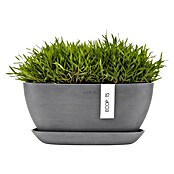 Ecopots Sofia Pflanzschale Sofia (L x B x H: 29,5 x 13,4 x 13,5 cm, Grau) | BAUHAUS