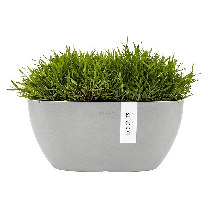 Ecopots Sofia Pflanzschale Oval (L x B x H: 30 x 13 x 13,5 cm, Weißgrau) | BAUHAUS